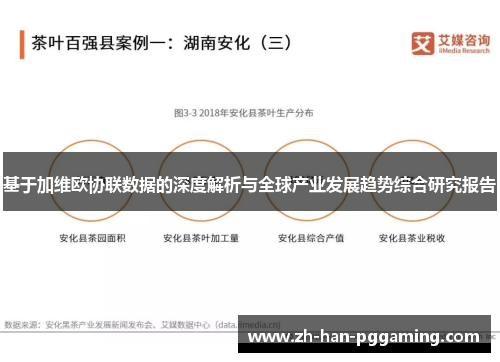 基于加维欧协联数据的深度解析与全球产业发展趋势综合研究报告