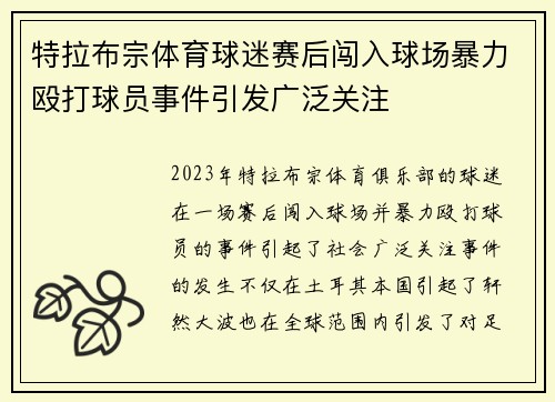 特拉布宗体育球迷赛后闯入球场暴力殴打球员事件引发广泛关注